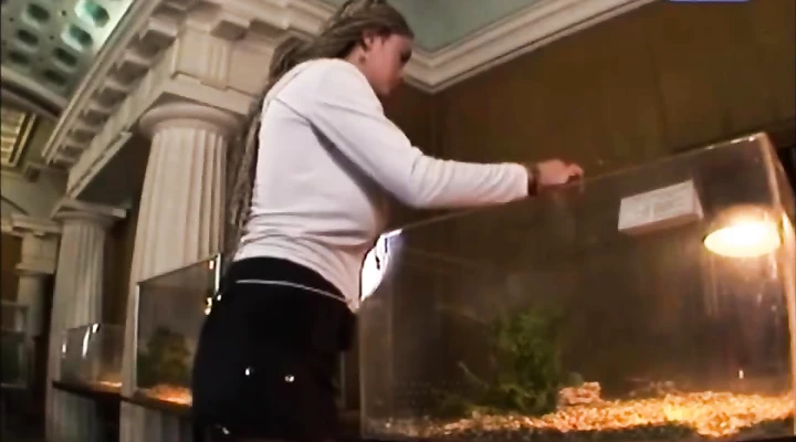 Подборка видео с публичным обнажением грудастых девиц